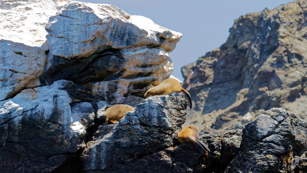 03 - La Serena (14).jpg